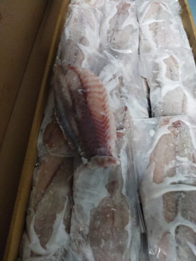 WhatsApp Image 2022-12-12 at 15.01.43