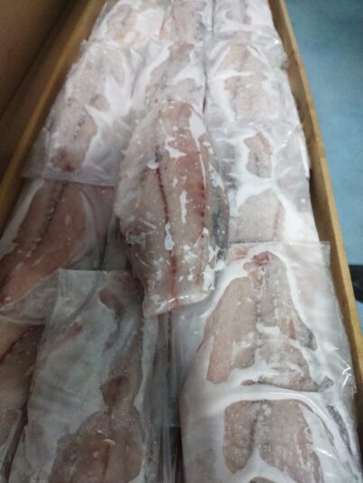 WhatsApp Image 2022-12-12 at 15.01.46