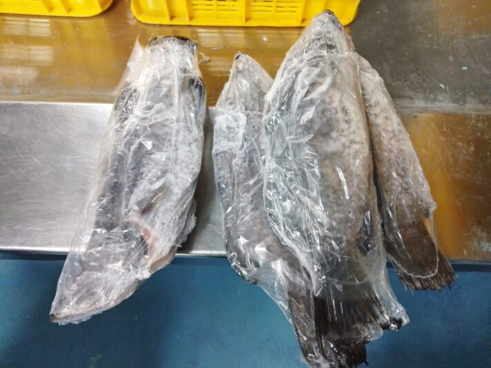 WhatsApp Image 2022-12-12 at 15.02.00