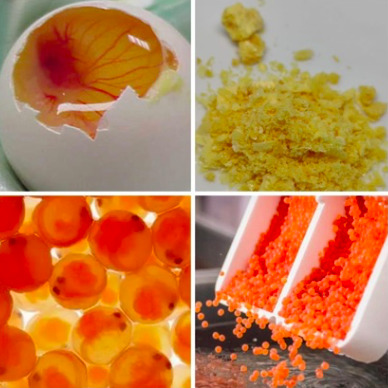 Captura de Pantalla 2023-10-17 a la(s) 2.57.47 p. m.