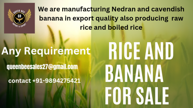 20230224_130211_0000