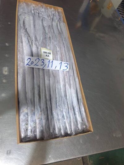 WhatsApp Image 2023-11-13 at 19.50.53_0d7bbe06