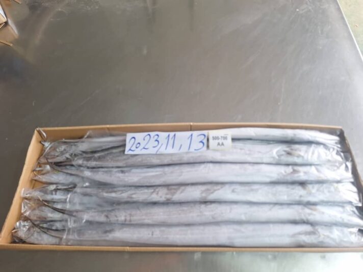 WhatsApp Image 2023-11-13 at 19.50.54_057f4f5b