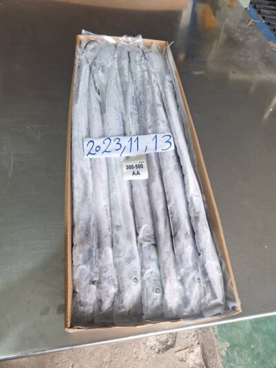 WhatsApp Image 2023-11-13 at 19.50.52_a4d79f5d