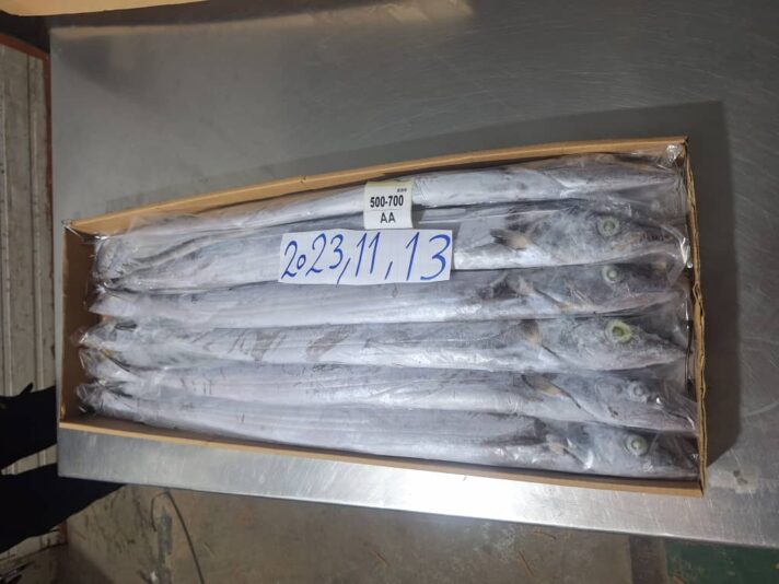 WhatsApp Image 2023-11-13 at 19.50.54_8dcbc555