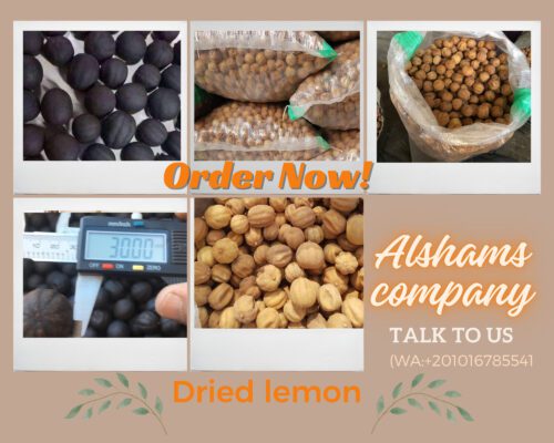 399077995_10228060083560914_7884012040025461082_n