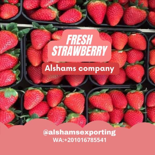 WhatsApp Image 2023-12-20 at 13.16.57_ca528f8a