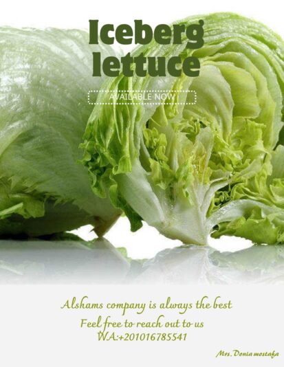 WhatsApp Image 2023-12-20 at 14.38.53_b803ce6a