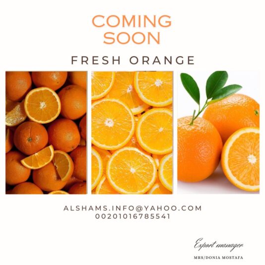 WhatsApp Image 2023-12-04 at 11.59.13_6ceda311