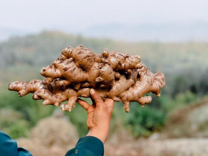 274921674_471702638019885_3429627837552573675_n