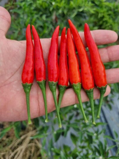 z4872418171867_160a9e299e5573cb998a11384d53460c