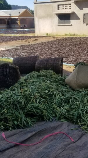 535bafe7-6f69-4587-a571-bb899bdef351