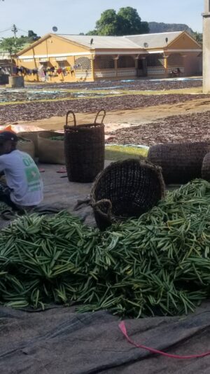 2896c882-e128-49a6-9639-cc163d34ea77