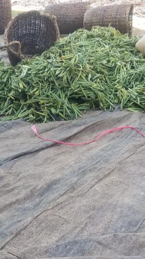 9022fb8e-845f-4438-9555-ed88fe837a4f