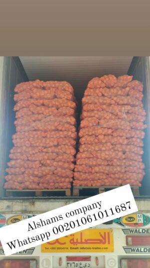 WhatsApp Image 2023-03-29 at 1.13.56 PM