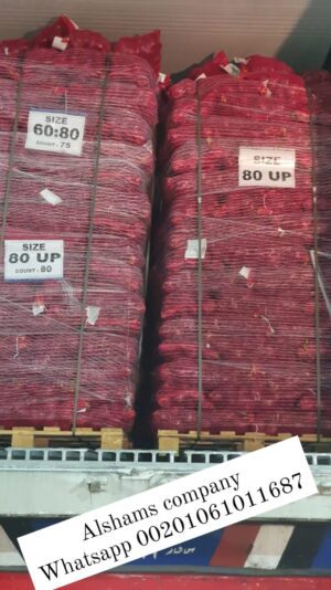 357501431_215212781473399_8696681160745268607_n