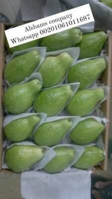 WhatsApp Image 2023-02-05 at 12.24.15 PM