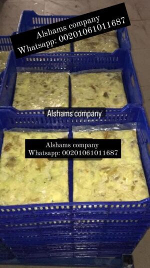 WhatsApp Image 2023-08-15 at 12.24.07 PM (1)