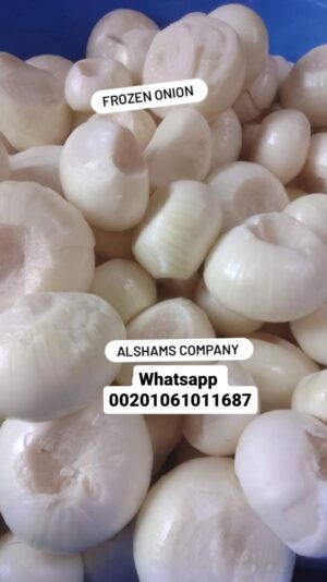 WhatsApp Image 2023-05-21 at 1.44.33 PM (3)