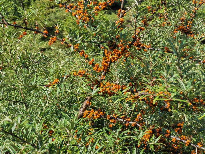 mmexport1693818095587