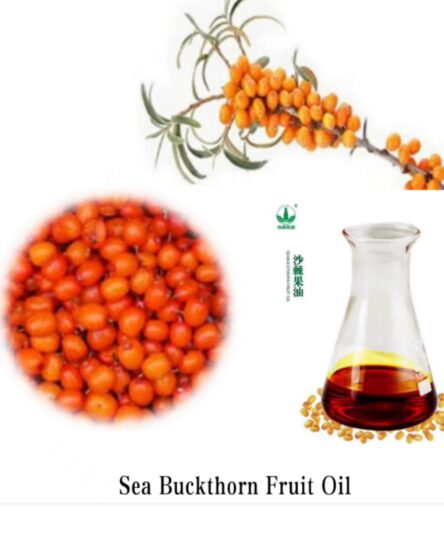 mmexport1692341142758