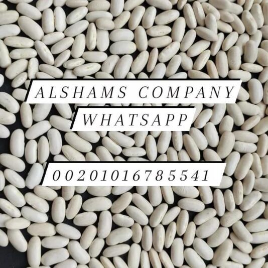 242237324_10223568383831228_8392824453145276299_n