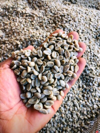 Screenshot_20230818_164007_LinkedIn