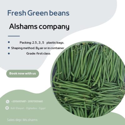 WhatsApp Image 2024-04-21 at 14.11.50_e3376cb3