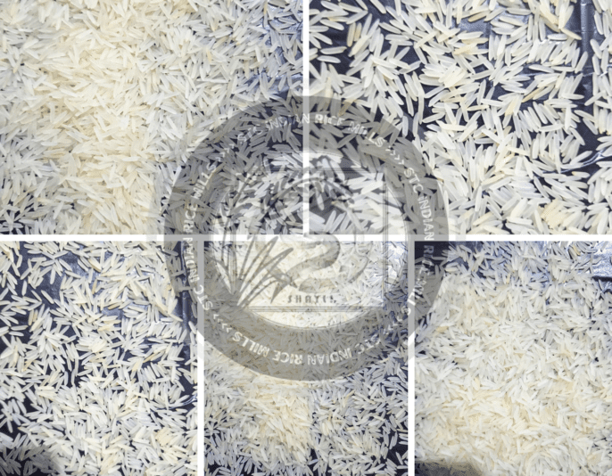 1121 WhiteCreamy Sella rice