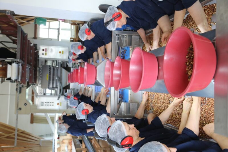 aysan土耳其烤榛子