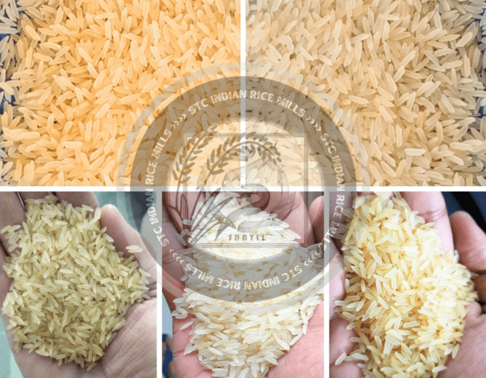PR11 14 Rice