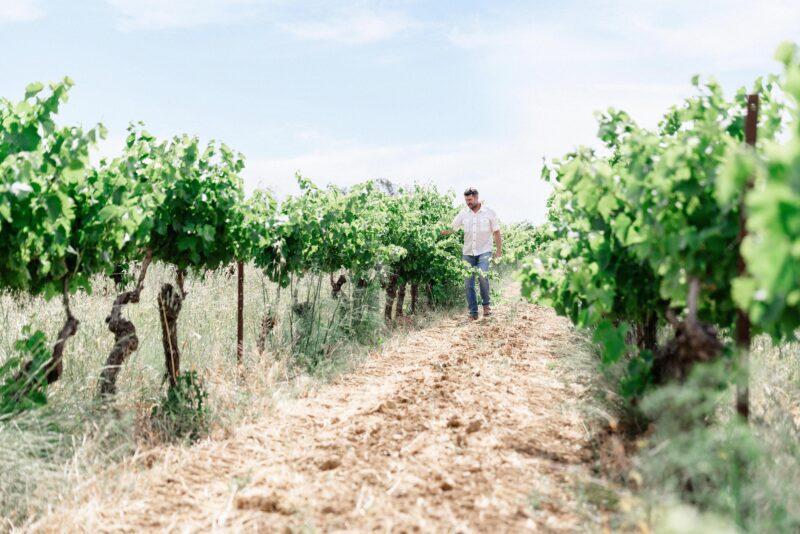 RICARDELLE-LAUTREC-LIONEL