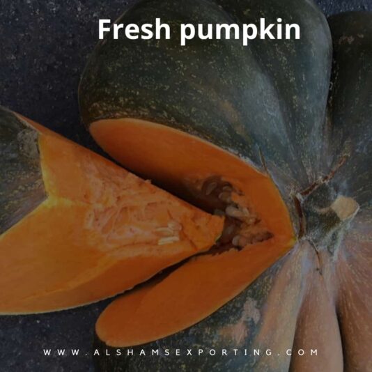 WhatsApp Image 2024-07-01 at 12.51.24_fcef4fc6