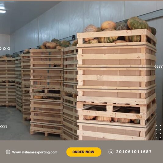 WhatsApp Image 2024-07-01 at 12.43.48_b454e698