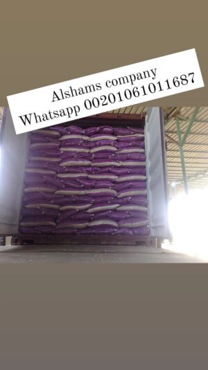 WhatsApp Image 2024-07-09 at 15.19.12_fe4e5bc9