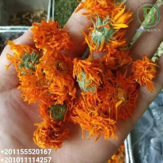 WhatsApp Image 2023-12-03 at 12.14.08_6731850c