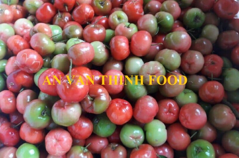 IQF FROZEN ACEROLA_ ACEROLA FRUIT_2 (1)