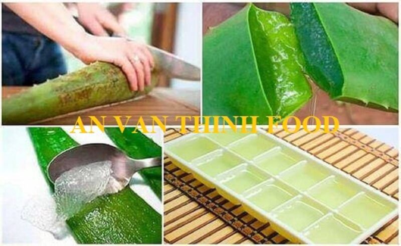 Aloe Vera Grounded Cubed