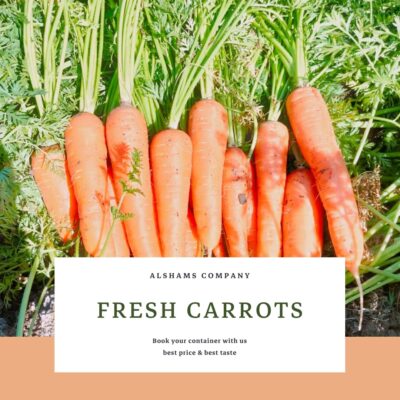 WhatsApp Image 2024-07-01 at 15.54.34_7b314e8c