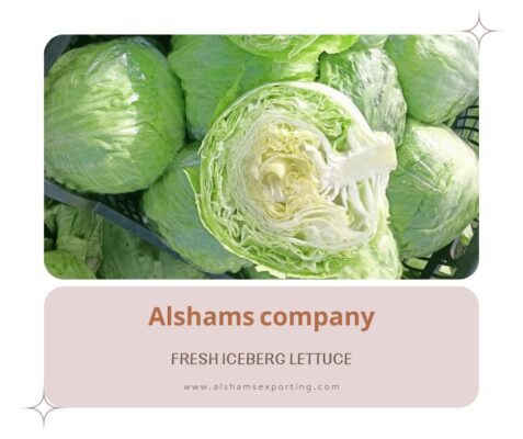 صور للاعلانات