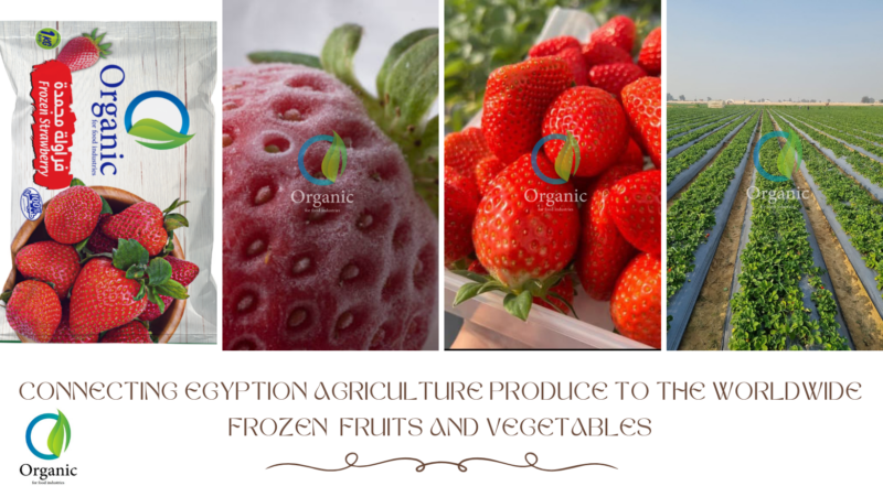 Connecting Egyption Agriculture