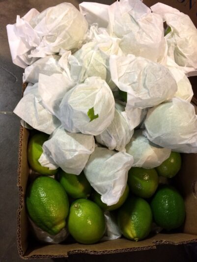 Photo 2017-03-17, 07 59 20