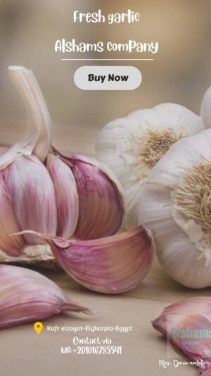 WhatsApp Image 2023-12-21 at 13.33.40_b9886de7