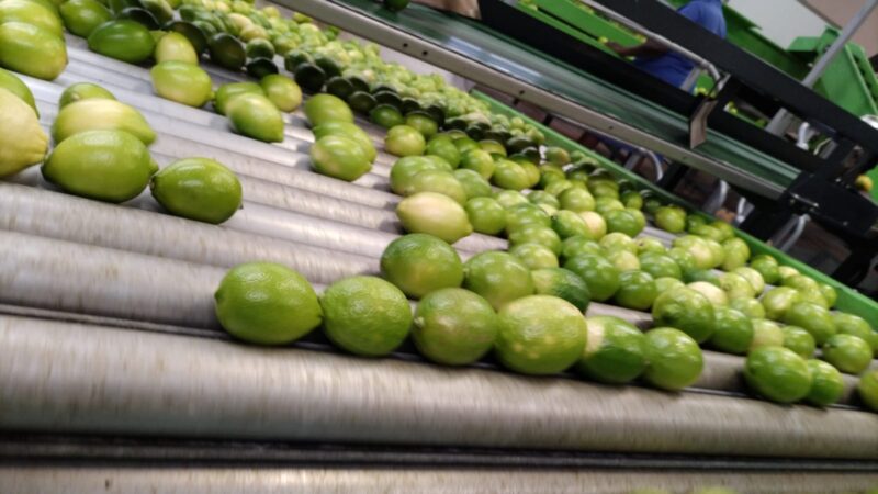 WhatsApp Image 2024-02-08 at 08.37.21_958e545f