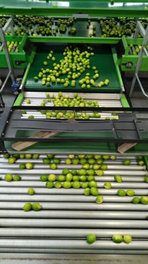 WhatsApp Image 2024-02-08 at 08.37.05_06b2bd91