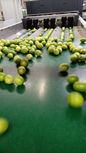 WhatsApp Image 2024-02-08 at 08.37.28_904ec6cb