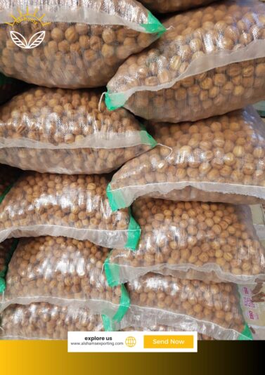 WhatsApp Image 2024-10-22 at 12.06.18_d6fd215f