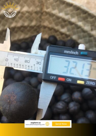 WhatsApp Image 2024-10-22 at 12.06.17_542fbe53