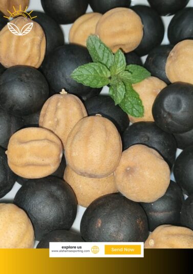 WhatsApp Image 2024-10-22 at 12.06.17_ebf29755