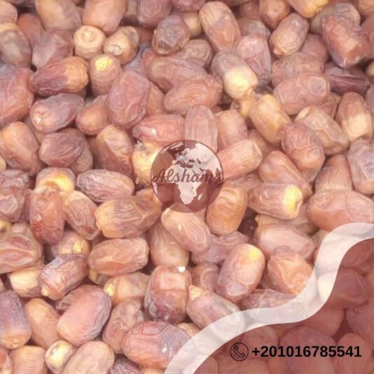 WhatsApp Image 2024-10-17 at 13.43.40_6148104e